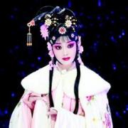 贾菊兰简介