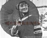 黄东风简介