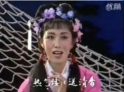 綦翠芳简介