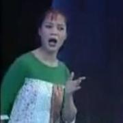 王美霞简介