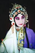 杨淑蕊简介