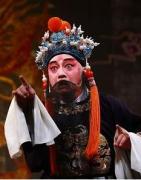 蔡正仁简介