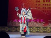 张洁简介