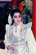 杨丽花简介