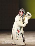 李蔷华简介