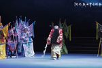 屡 Ƭ