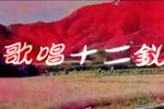 質ʮ