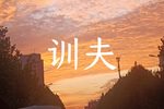 ѵ 