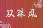 ˫