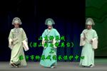 ɽףӢ̨ ϼ